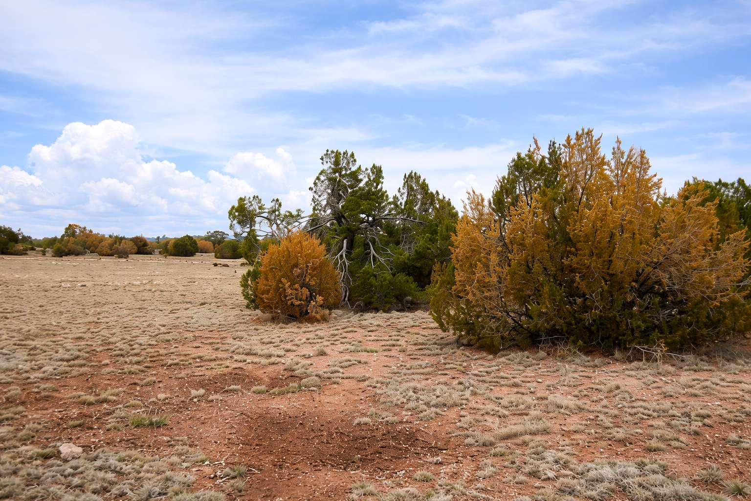 2 Acres of Residential Land for Sale in Seligman, Arizona
