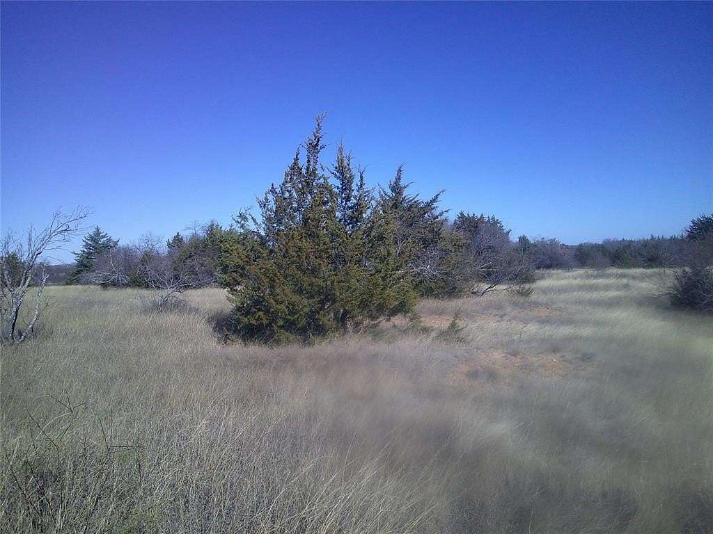 12 Acres of Land for Sale in Chico, Texas