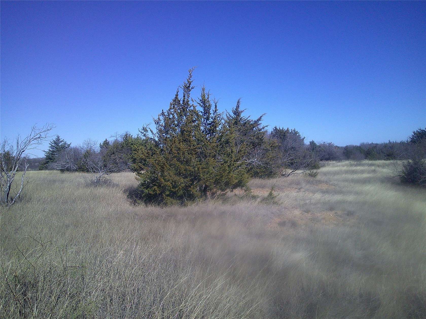 12 Acres of Land for Sale in Chico, Texas