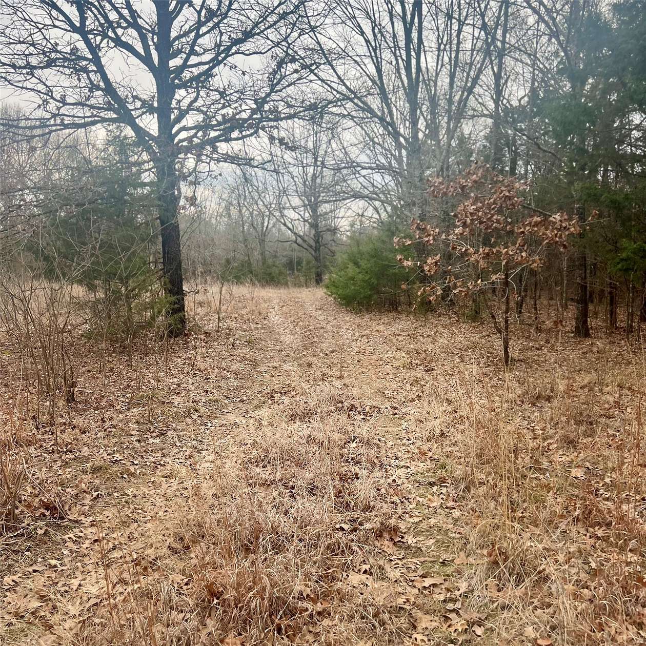 23.4 Acres of Recreational & Residential Land for Sale in Sulphur Springs, Texas