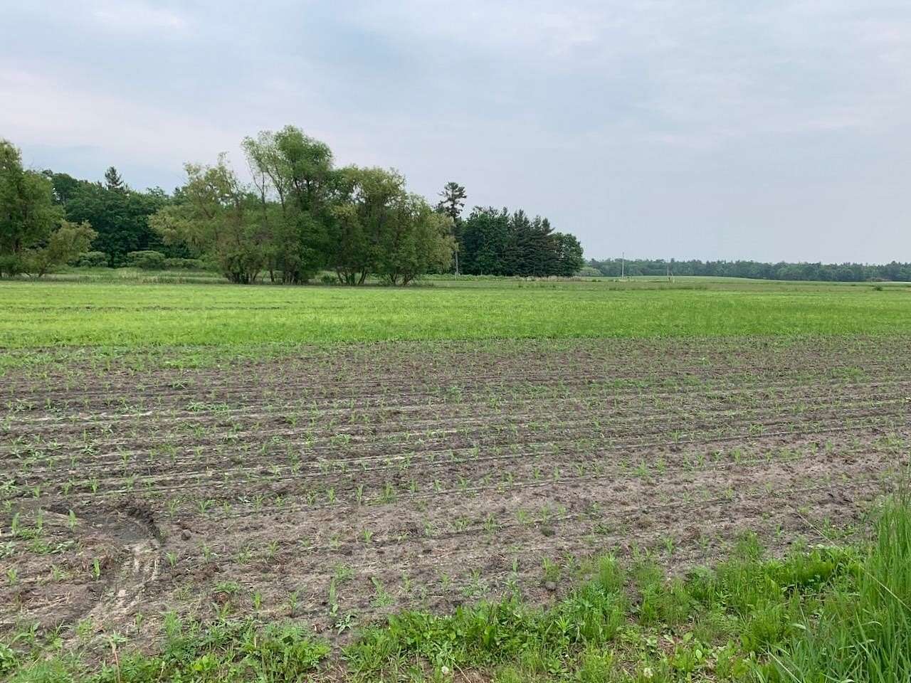 40 Acres of Land for Sale in Camp Douglas, Wisconsin