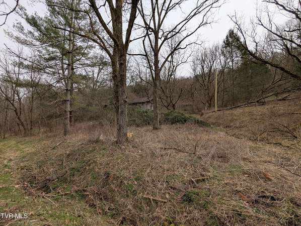 37.5 Acres of Land for Sale in Jonesville, Virginia