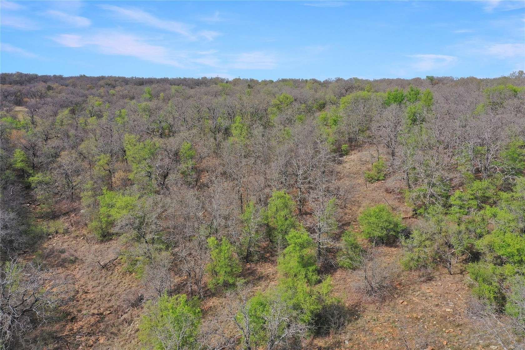 12.4 Acres of Recreational Land for Sale in Jacksboro, Texas