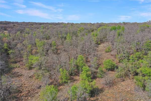 12.4 Acres of Recreational Land for Sale in Jacksboro, Texas