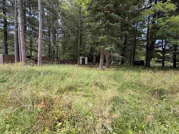 0.16 Acres of Residential Land for Sale in Lake George, Michigan