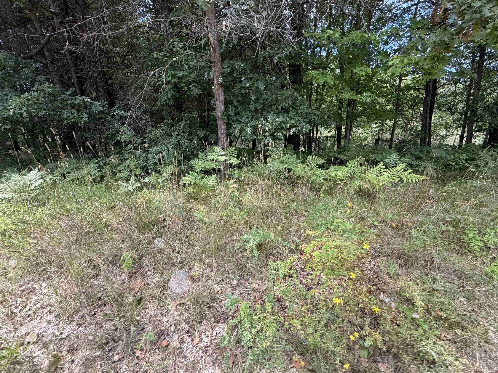0.16 Acres of Residential Land for Sale in Lake George, Michigan