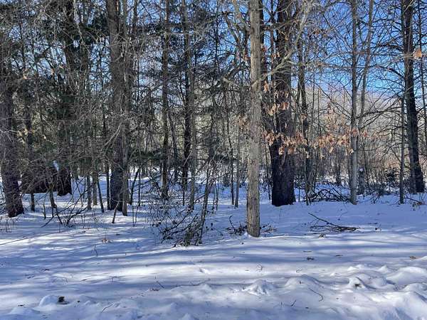 0.16 Acres of Residential Land for Sale in Lake George, Michigan