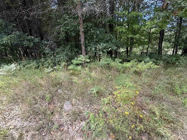 0.16 Acres of Residential Land for Sale in Lake George, Michigan