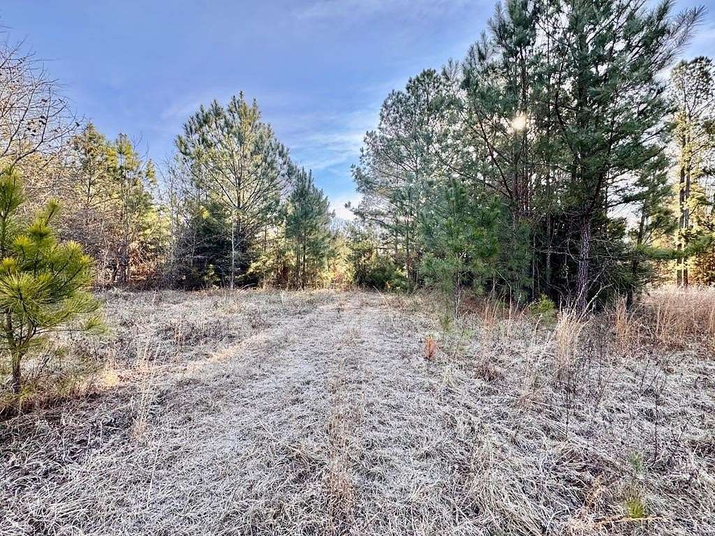 49 Acres of Recreational & Residential Land for Sale in Abbeville, South Carolina