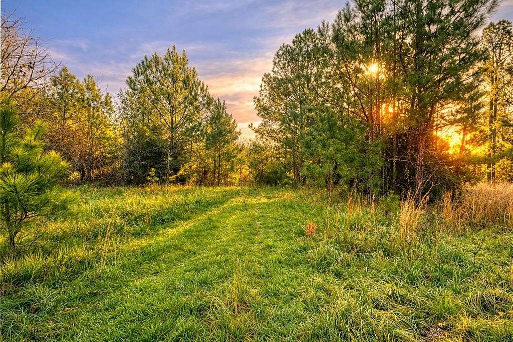 49 Acres of Recreational & Residential Land for Sale in Abbeville, South Carolina