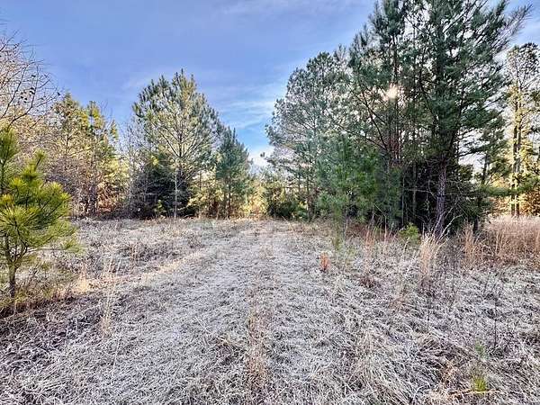 49 Acres of Recreational & Residential Land for Sale in Abbeville, South Carolina