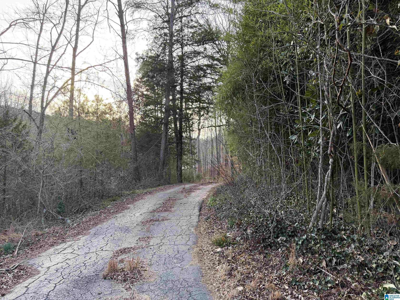 19 Acres of Land with Home for Sale in Pinson, Alabama