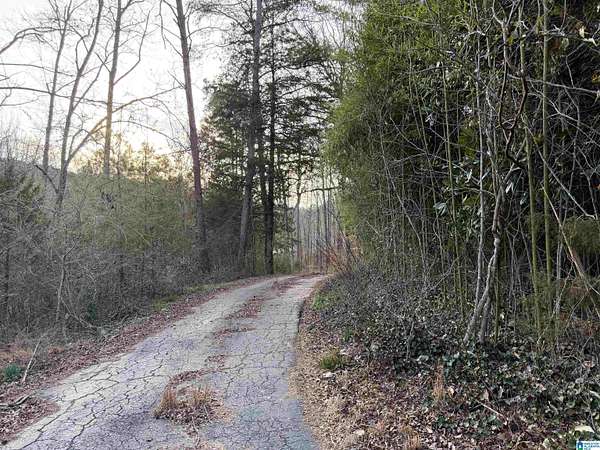 19 Acres of Land with Home for Sale in Pinson, Alabama