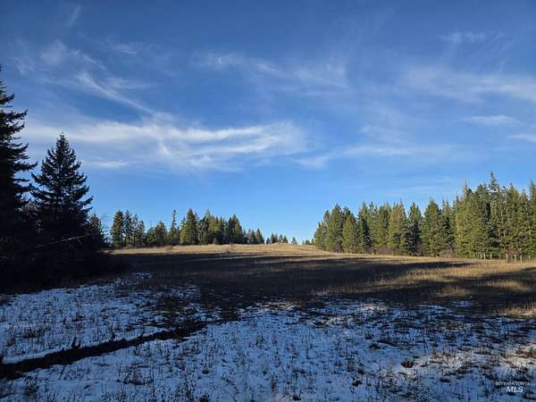 20 Acres of Recreational Land for Sale in Orofino, Idaho