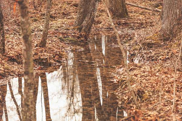 37.9 Acres of Recreational Land & Farm for Sale in Palmer, Tennessee