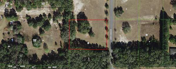 0.99 Acres of Residential Land for Sale in Hernando, Florida