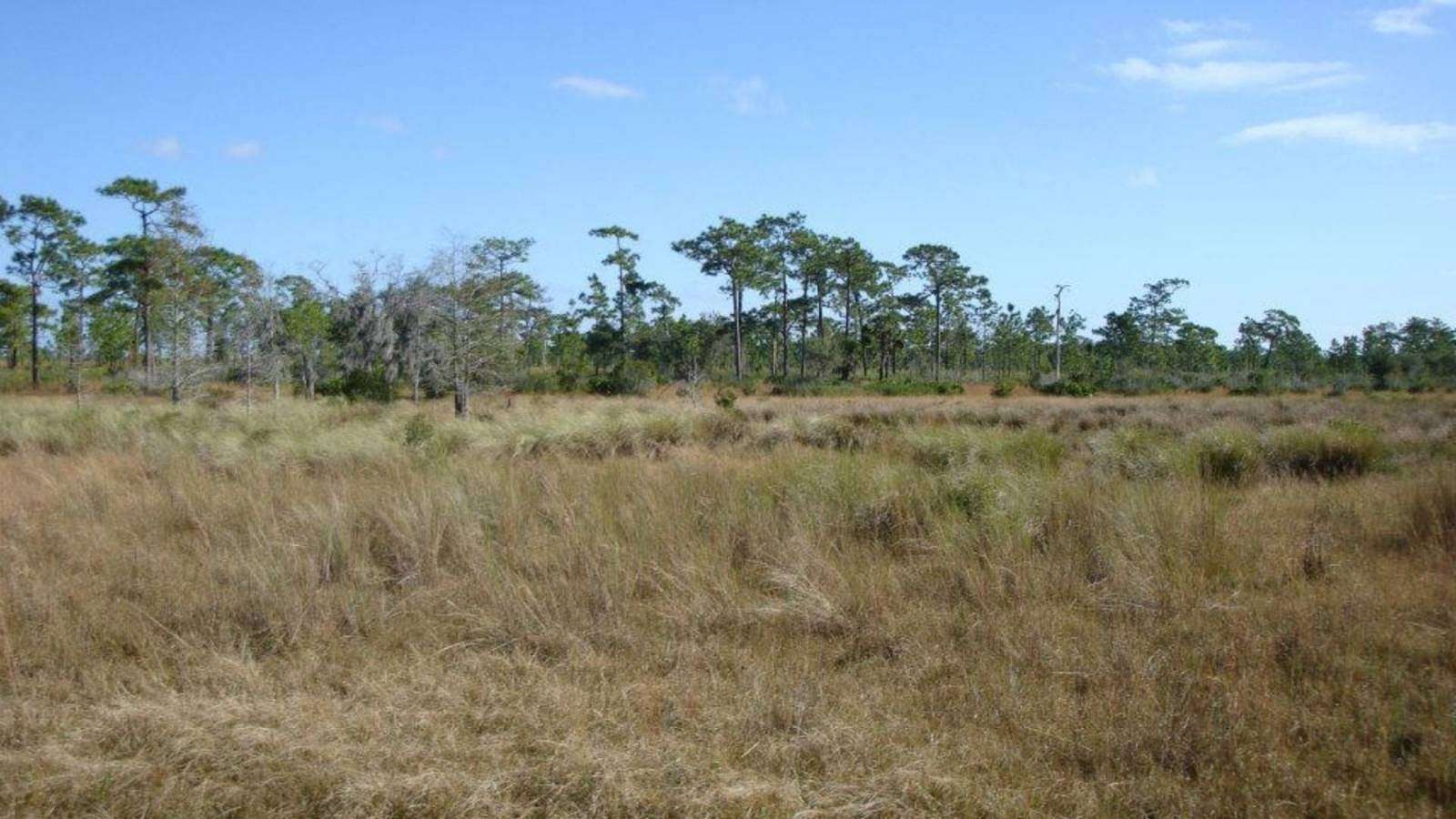 2.5 Acres of Residential Land for Sale in Frostproof, Florida