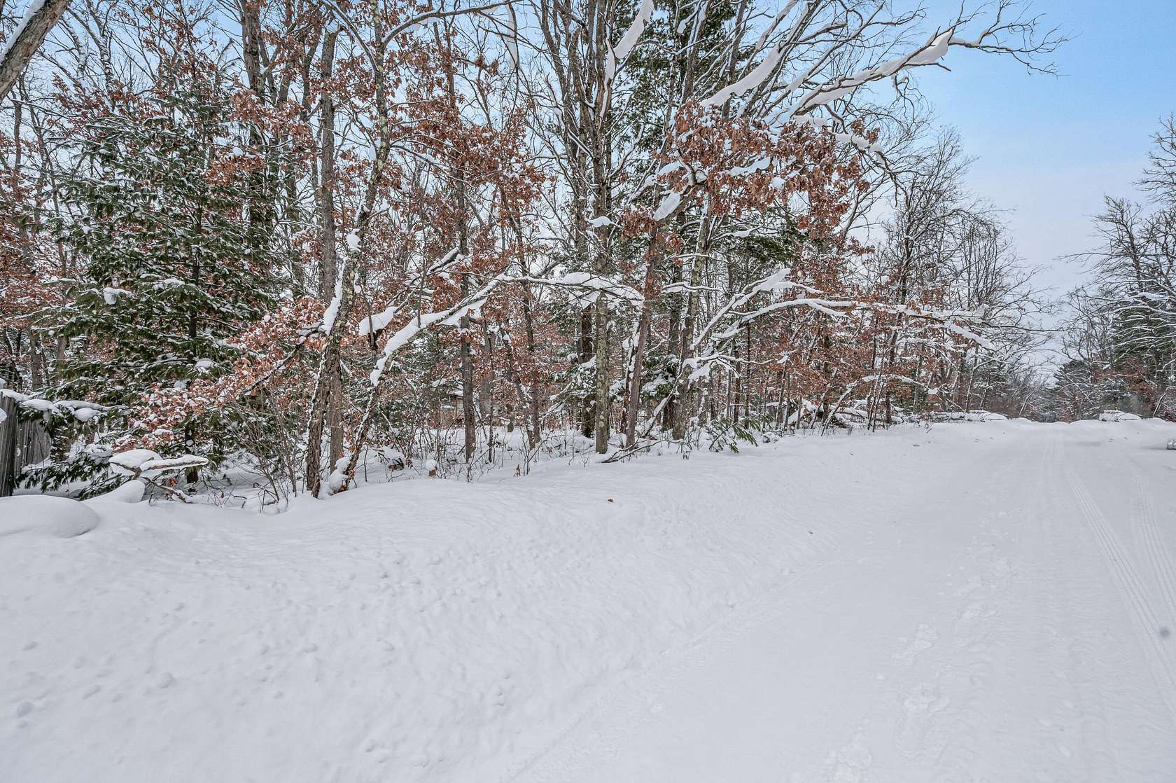 0.45 Acres of Land for Sale in Baldwin, Michigan