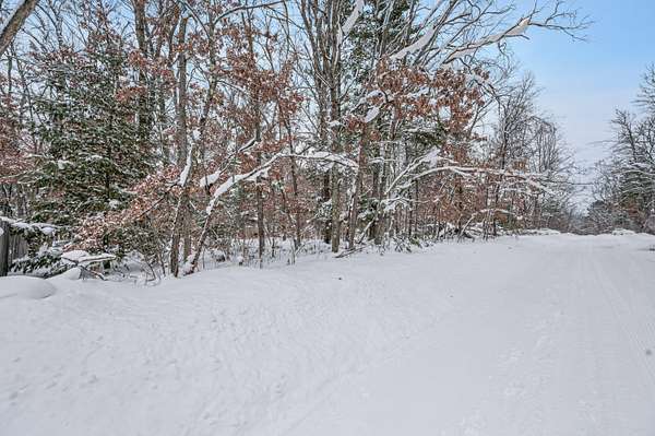 0.45 Acres of Land for Sale in Baldwin, Michigan