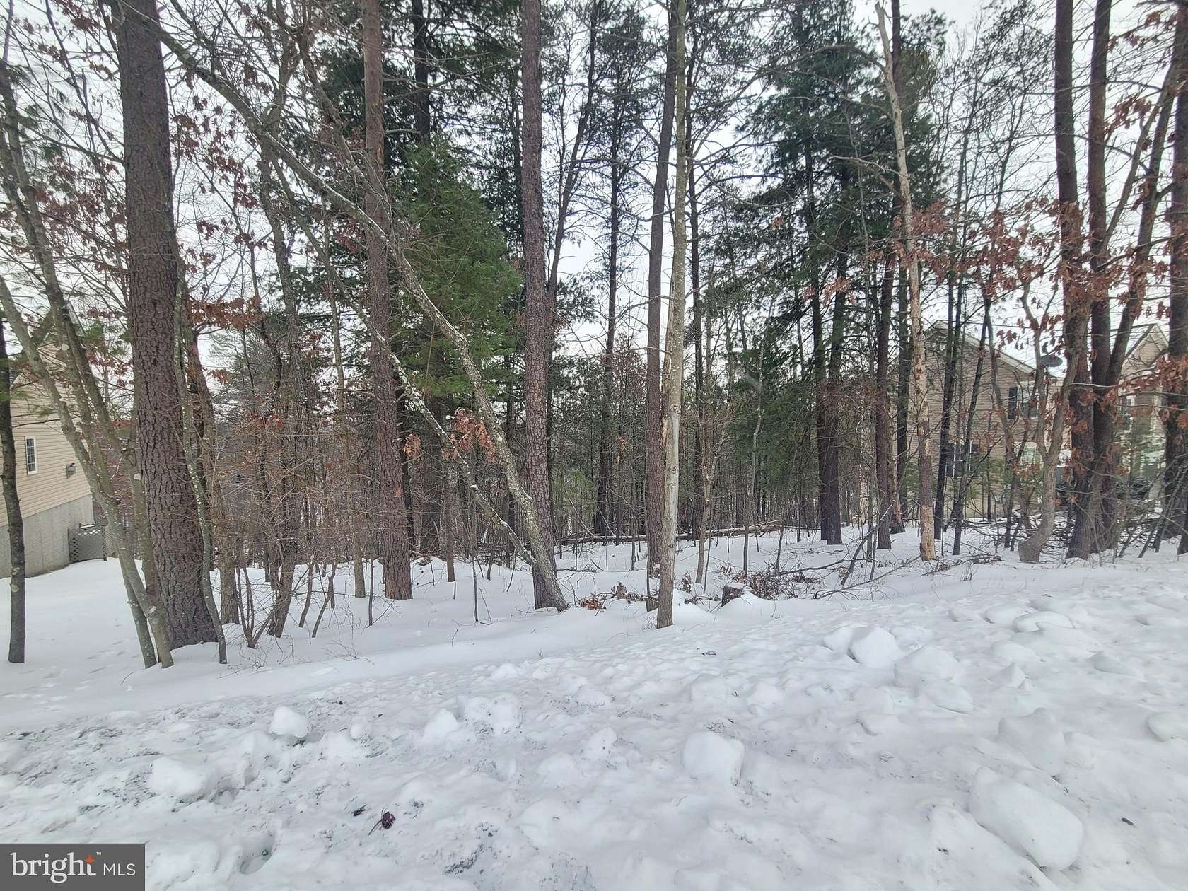 0.27 Acres of Residential Land for Sale in Cross Junction, Virginia