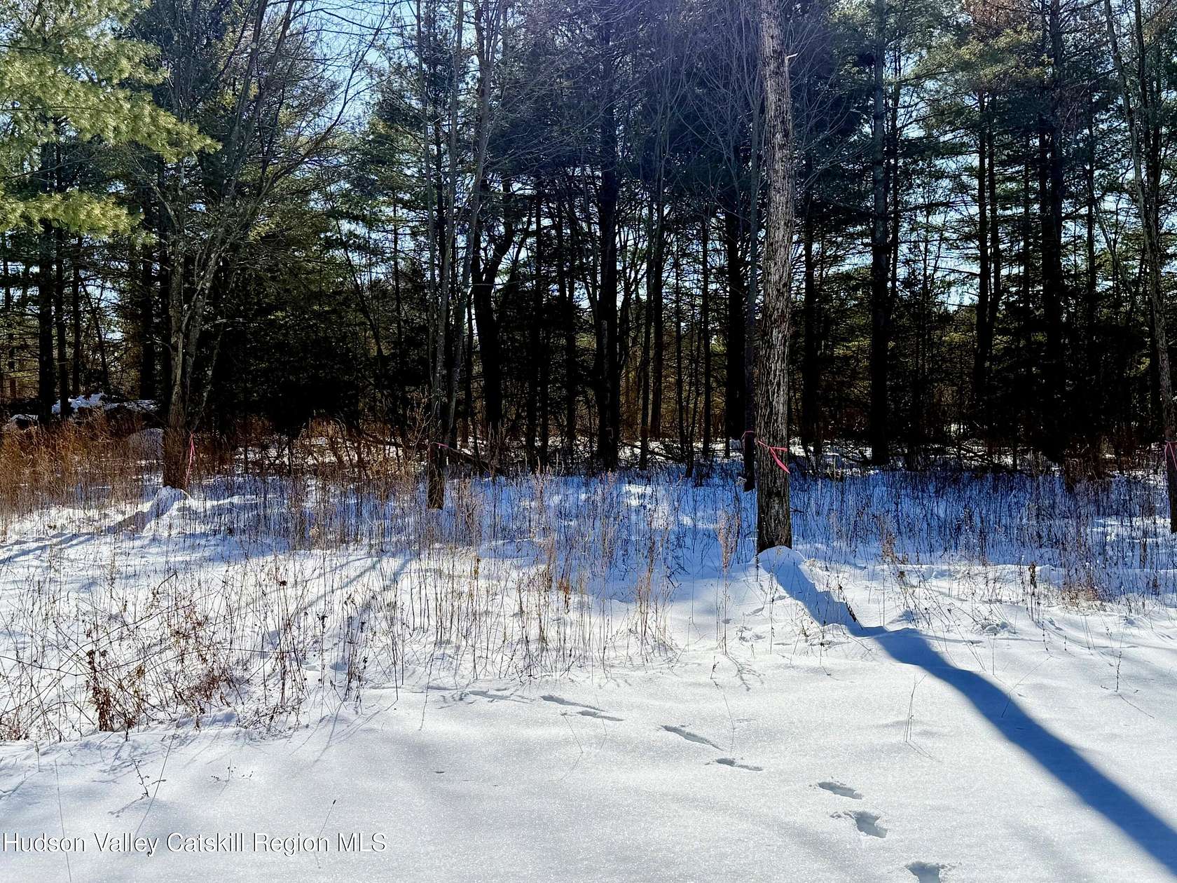 1.55 Acres of Residential Land for Sale in Athens, New York