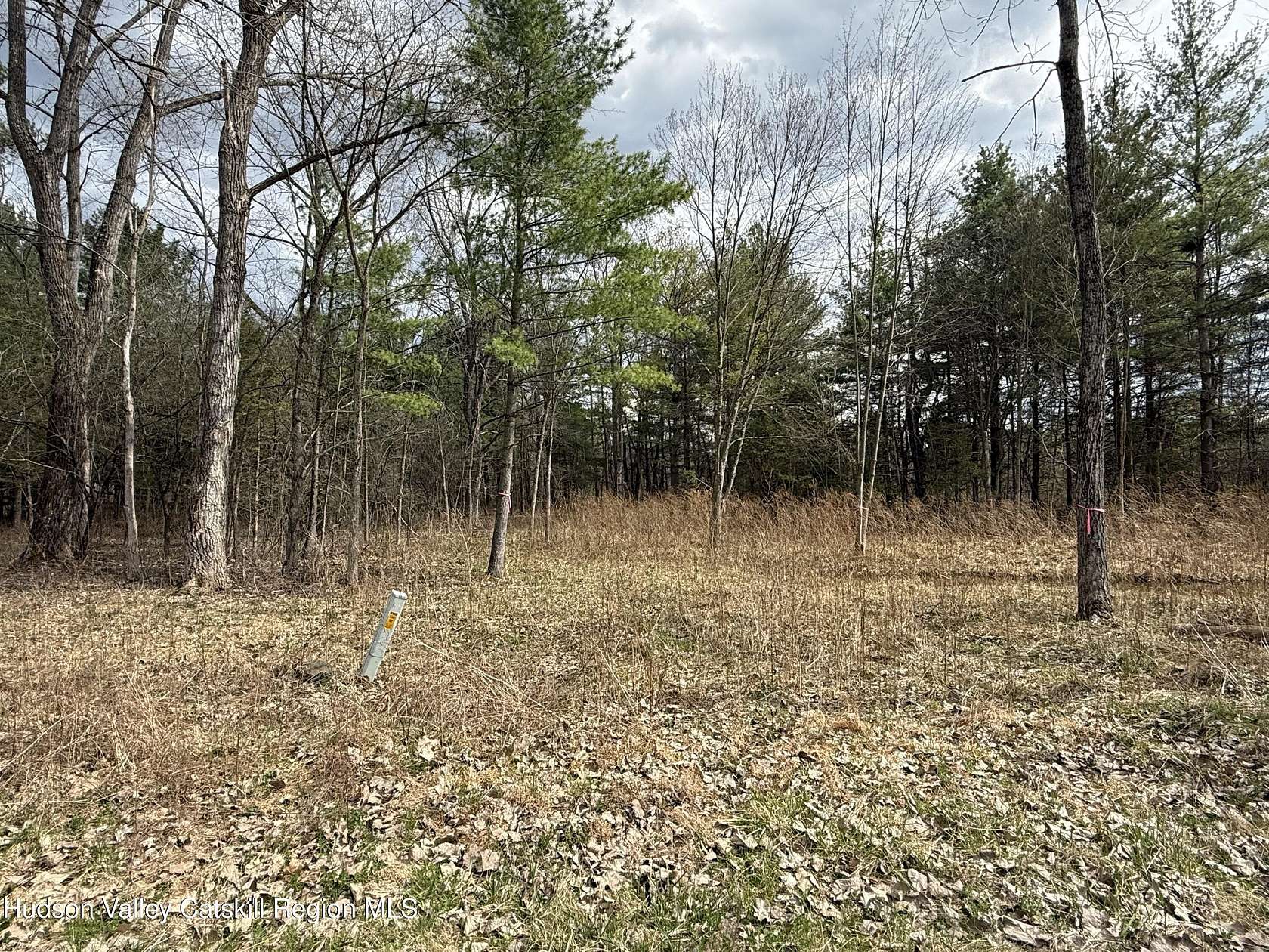 1.55 Acres of Residential Land for Sale in Athens, New York