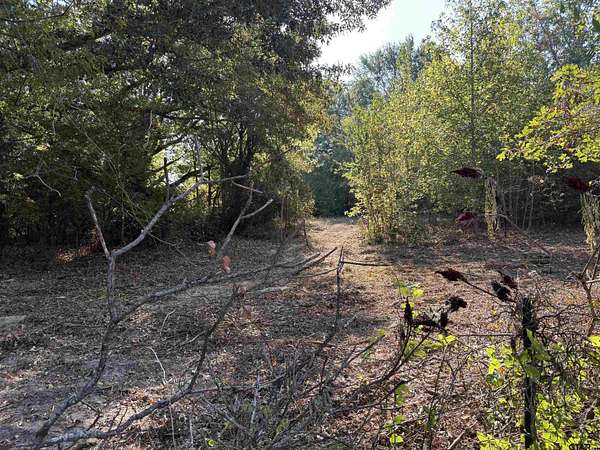 6 Acres of Land for Sale in Brownsboro, Texas