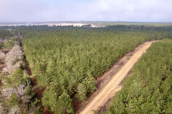 26 Acres of Recreational & Residential Land for Sale in Bethune, South Carolina