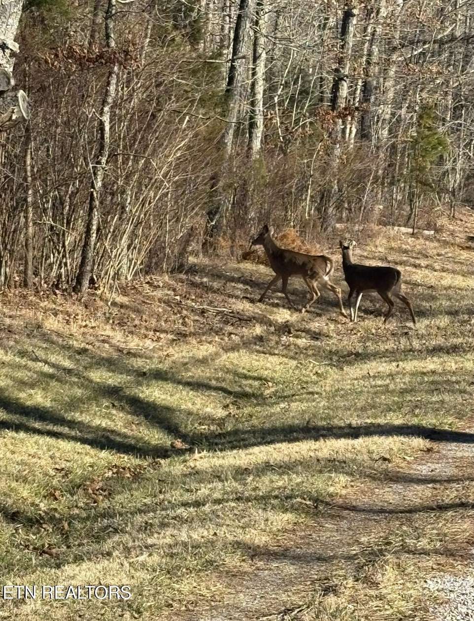 0.45 Acres of Residential Land for Sale in Crossville, Tennessee