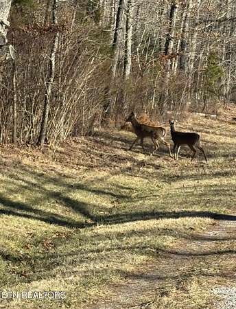 0.45 Acres of Residential Land for Sale in Crossville, Tennessee