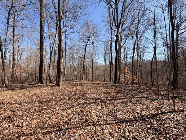 37.3 Acres of Recreational & Residential Land for Sale in Cumberland Furnace, Tennessee