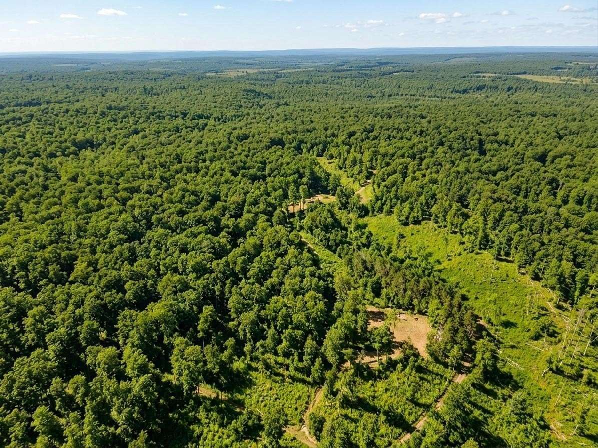 32.3 Acres of Recreational Land for Sale in Birchwood, Wisconsin