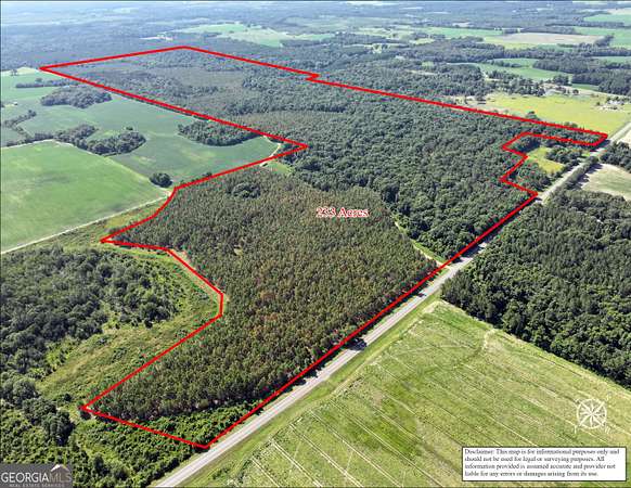 233 Acres of Recreational Land for Sale in Abbeville, Georgia