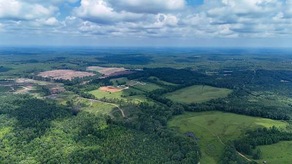 31.8 Acres of Land for Sale in Golden, Mississippi