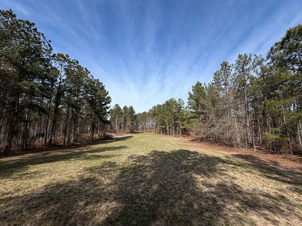 280 Acres of Recreational Land for Sale in Milledgeville, Georgia