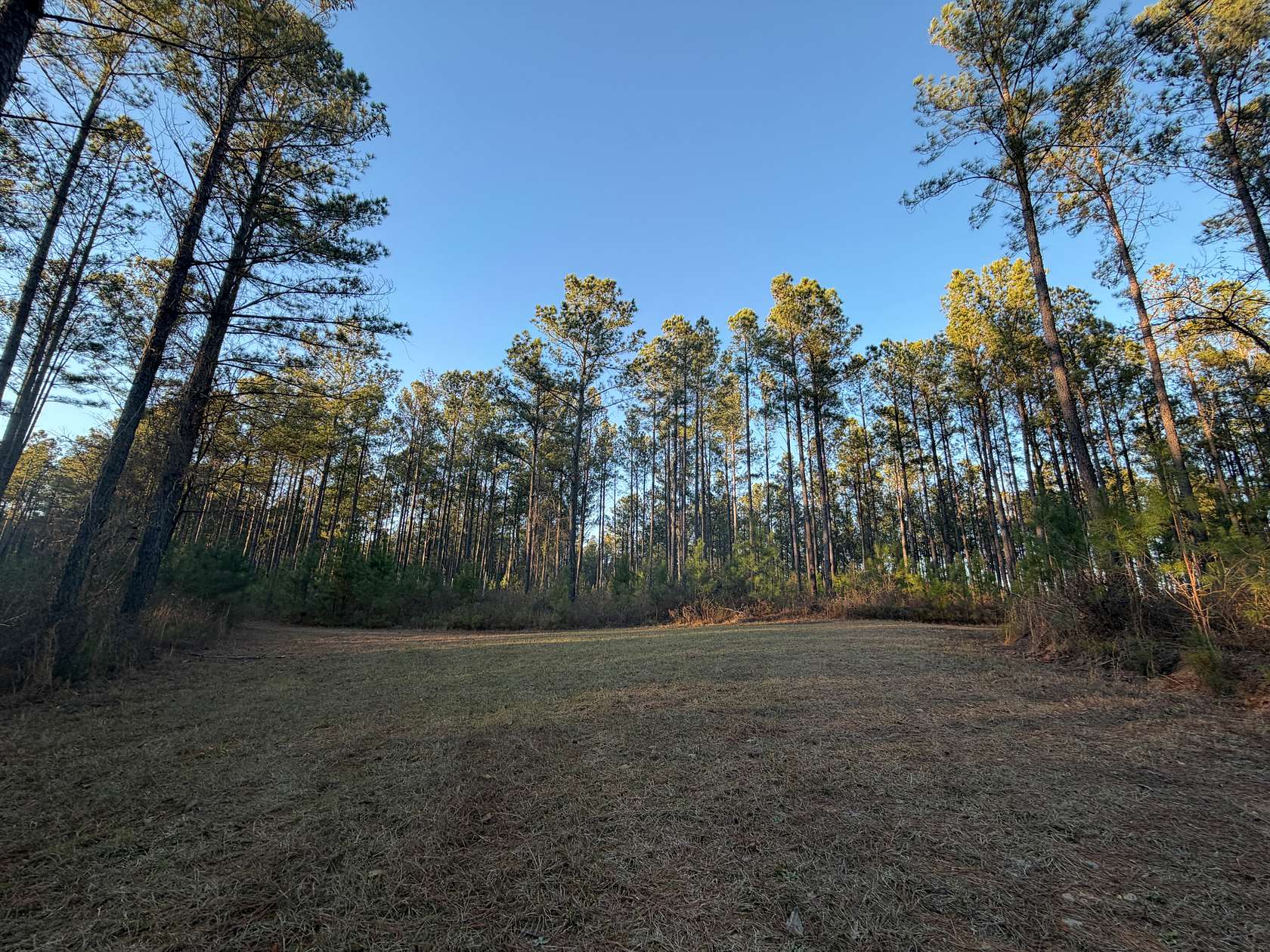 167 Acres of Recreational Land for Sale in Gray, Georgia