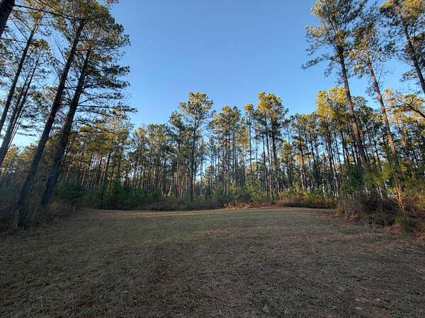 167 Acres of Recreational Land for Sale in Gray, Georgia