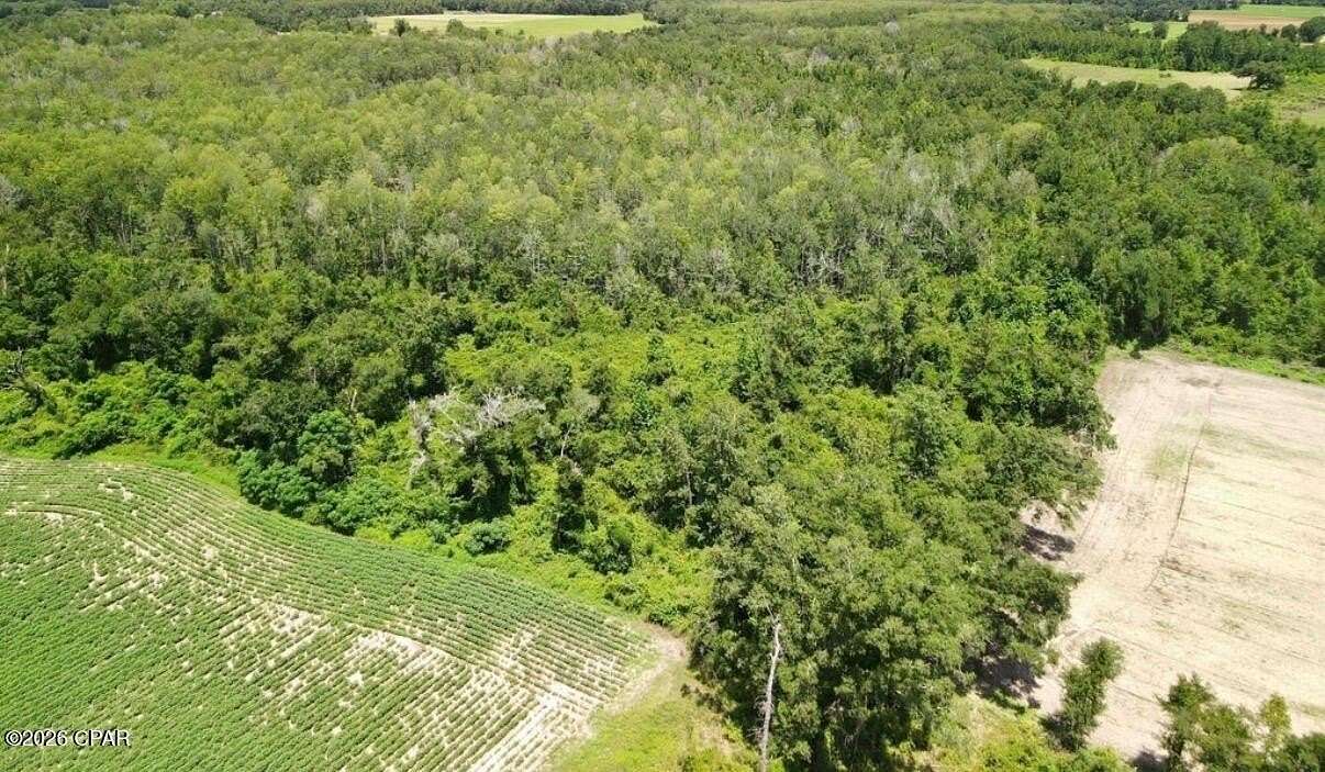 68.7 Acres of Recreational & Residential Land for Sale in Cottondale, Florida
