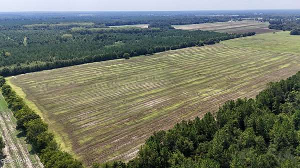 68.7 Acres of Recreational & Residential Land for Sale in Cottondale, Florida