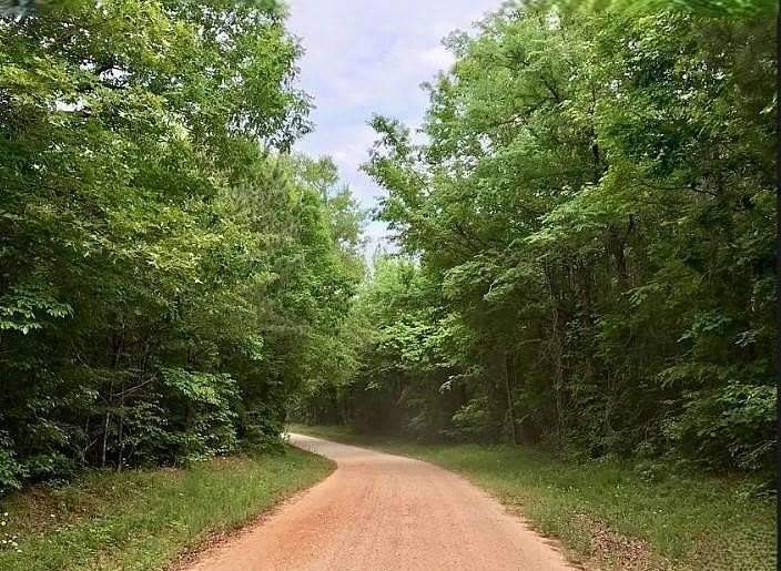 79.6 Acres of Agricultural Land for Sale in Washington, Georgia