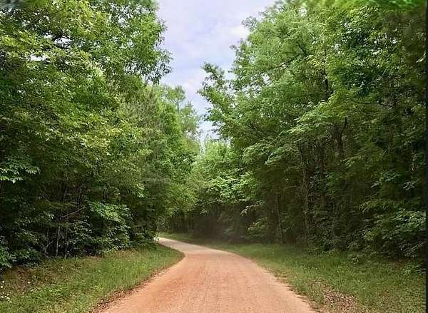 79.6 Acres of Agricultural Land for Sale in Washington, Georgia