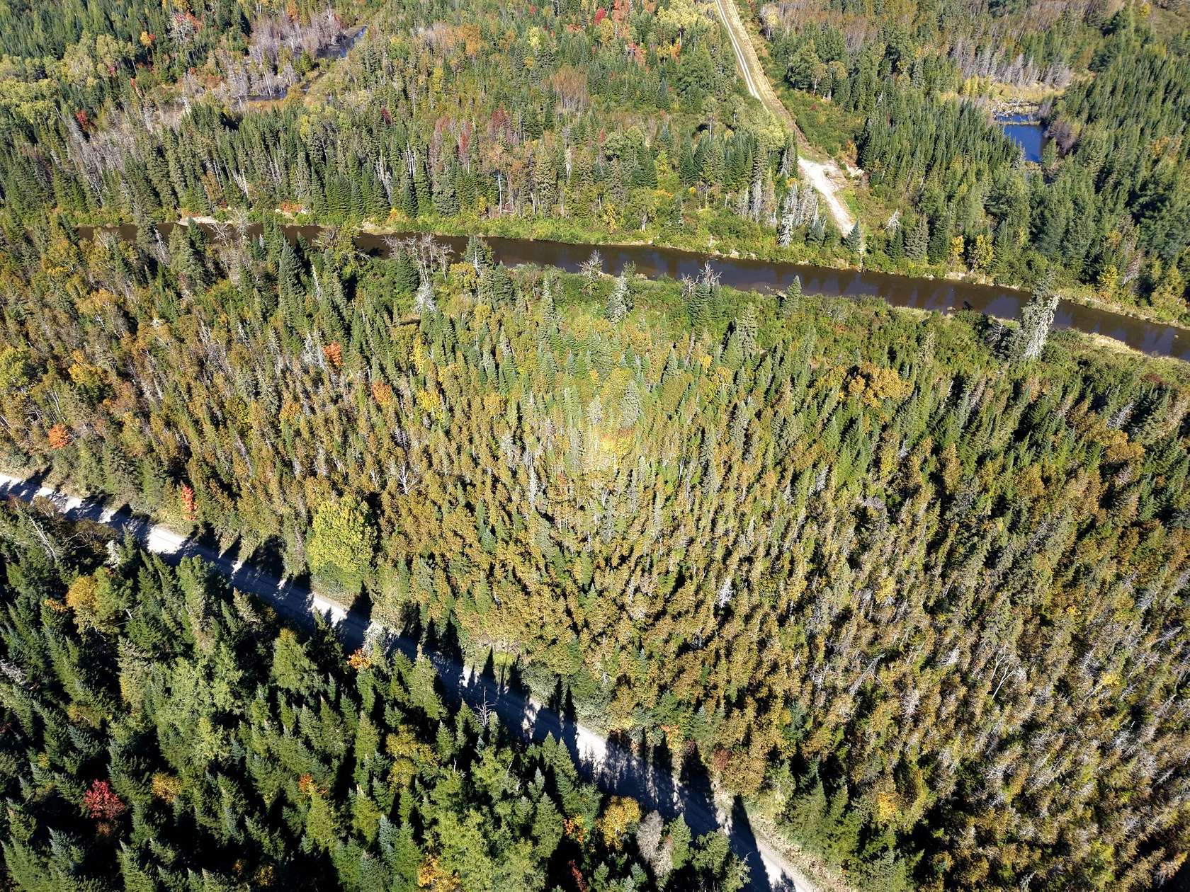 20 Acres of Recreational & Residential Land for Sale in Connor Township, Maine