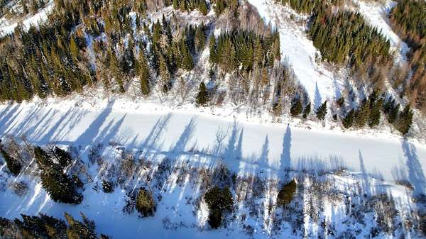 20 Acres of Recreational & Residential Land for Sale in Connor Township, Maine