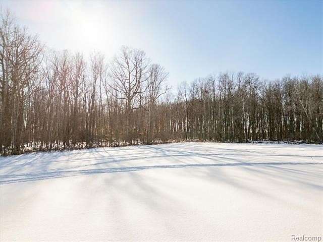 18 Acres of Land for Sale in Greenwood Township, Michigan