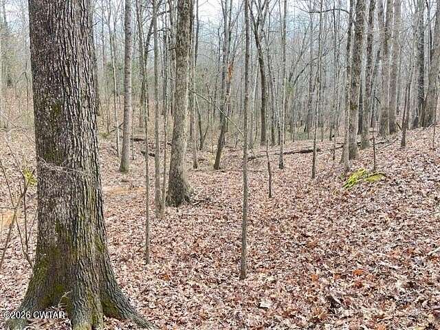 Land for Sale in Cedar Grove, Tennessee