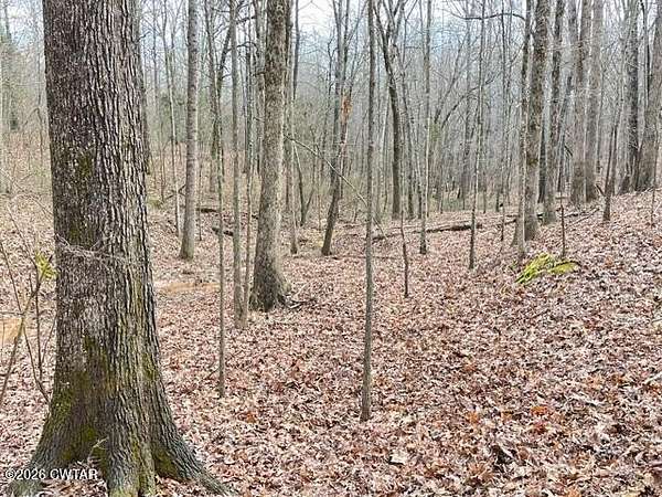 Land for Sale in Cedar Grove, Tennessee