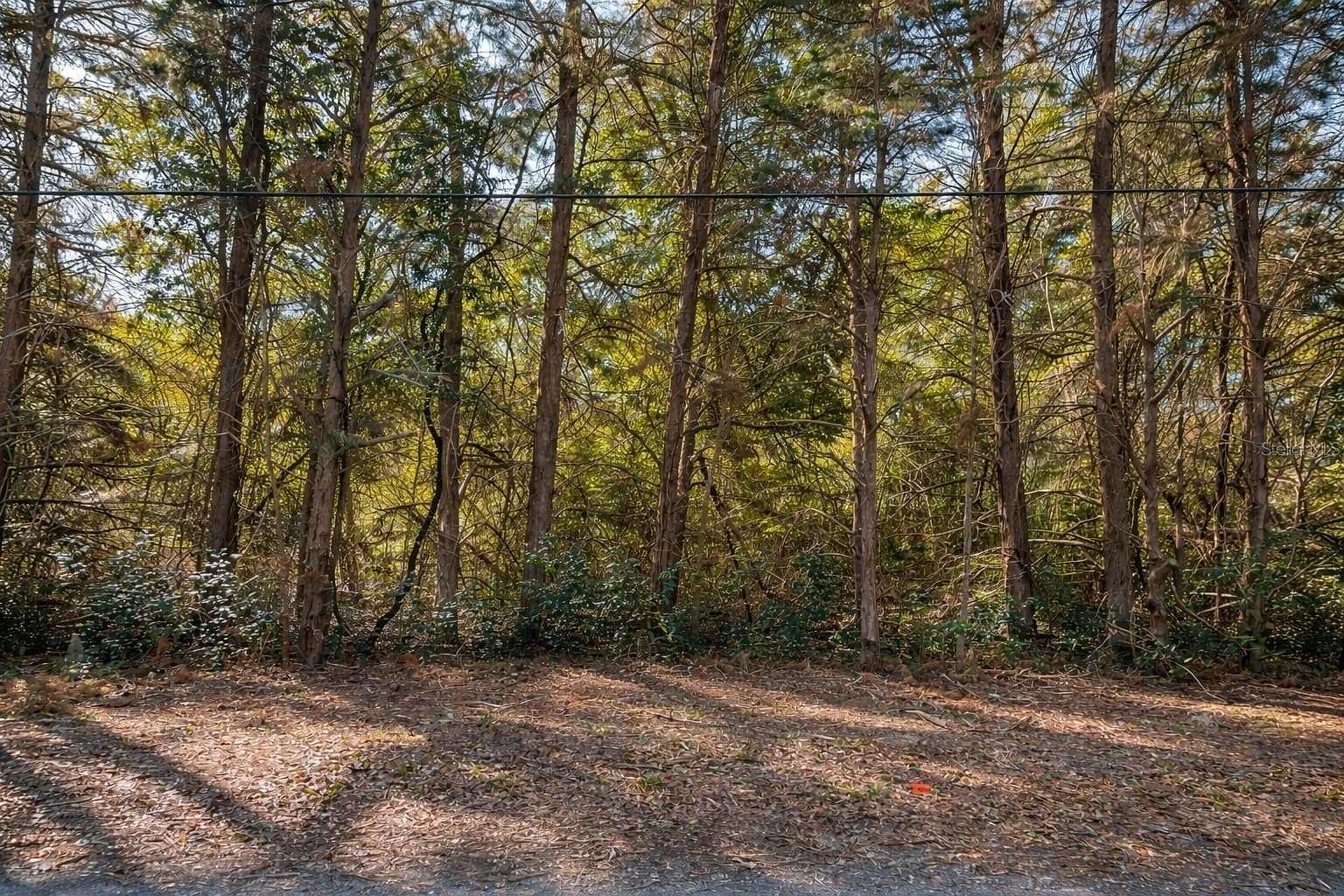 5 Acres of Residential Land for Sale in Archer, Florida