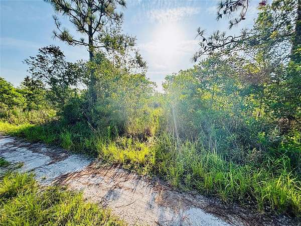1.25 Acres of Land for Sale in St. Cloud, Florida