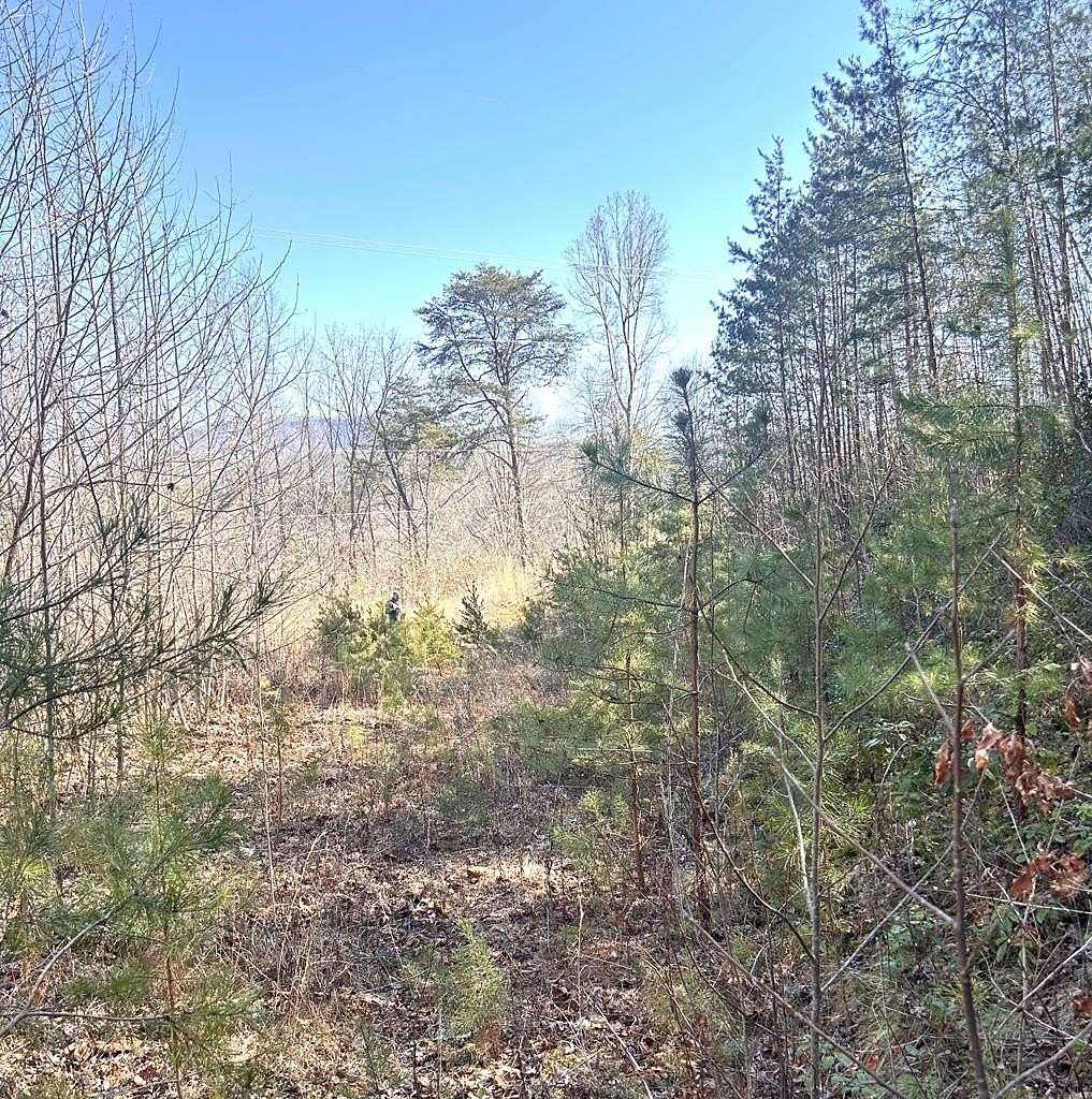 1.58 Acres of Residential Land for Sale in Whittier, North Carolina