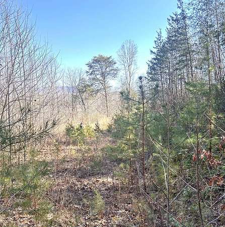 1.58 Acres of Residential Land for Sale in Whittier, North Carolina